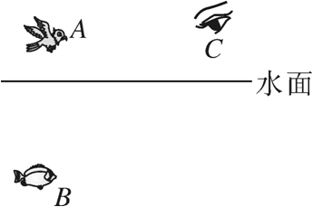 例題:平靜水面上的小鳥和水中的小魚,某時刻的實際位置如圖所示,水面