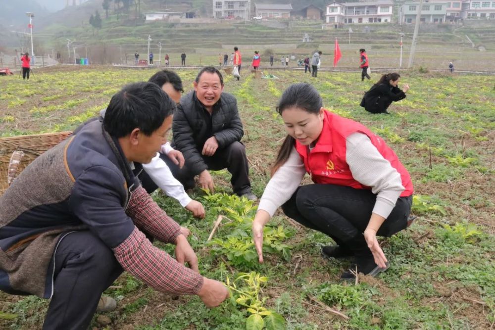 审核:赵儒亮 钟利涛责编:向廷玺编辑:刘玲玲供稿:赵林珊