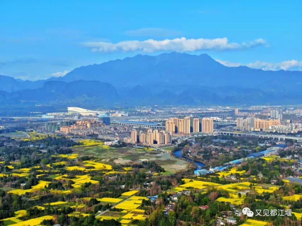 此时田野里的油菜花竞相开,在微风的吹拂下泛起层层彩浪,从空中俯瞰