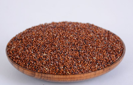 它叫穇子古老的粮食作物被称为禾中人参如今逐渐被遗忘