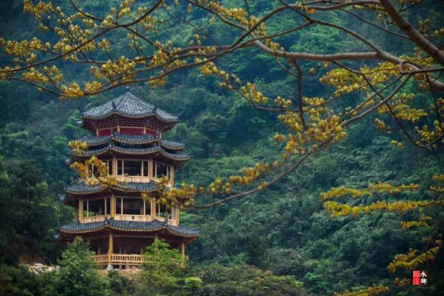 馬山各大旅遊景點壯鄉大地春色盎然煙花三月女神節根據國務院出臺的