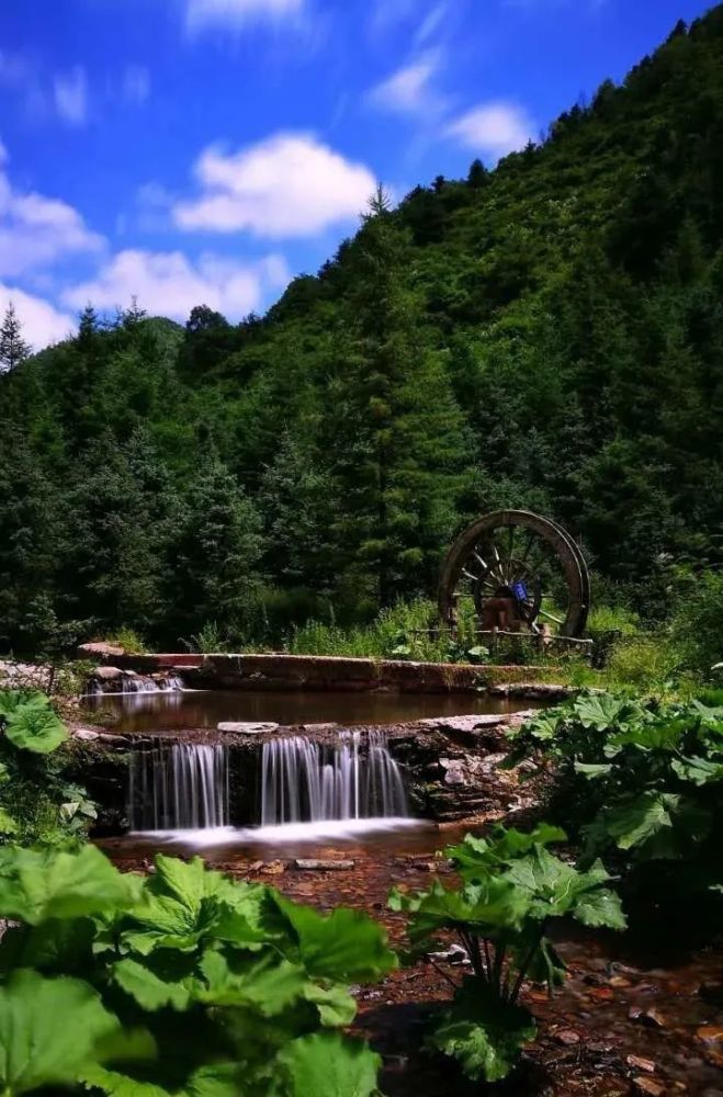 传递着这里的浓郁风情;卧龙山作为泾源的地标性风景充盈着泾源的内涵