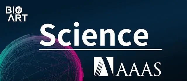 与妈妈孕期接触这些物质有关|science|大脑|细胞|化学|混合物|edcs