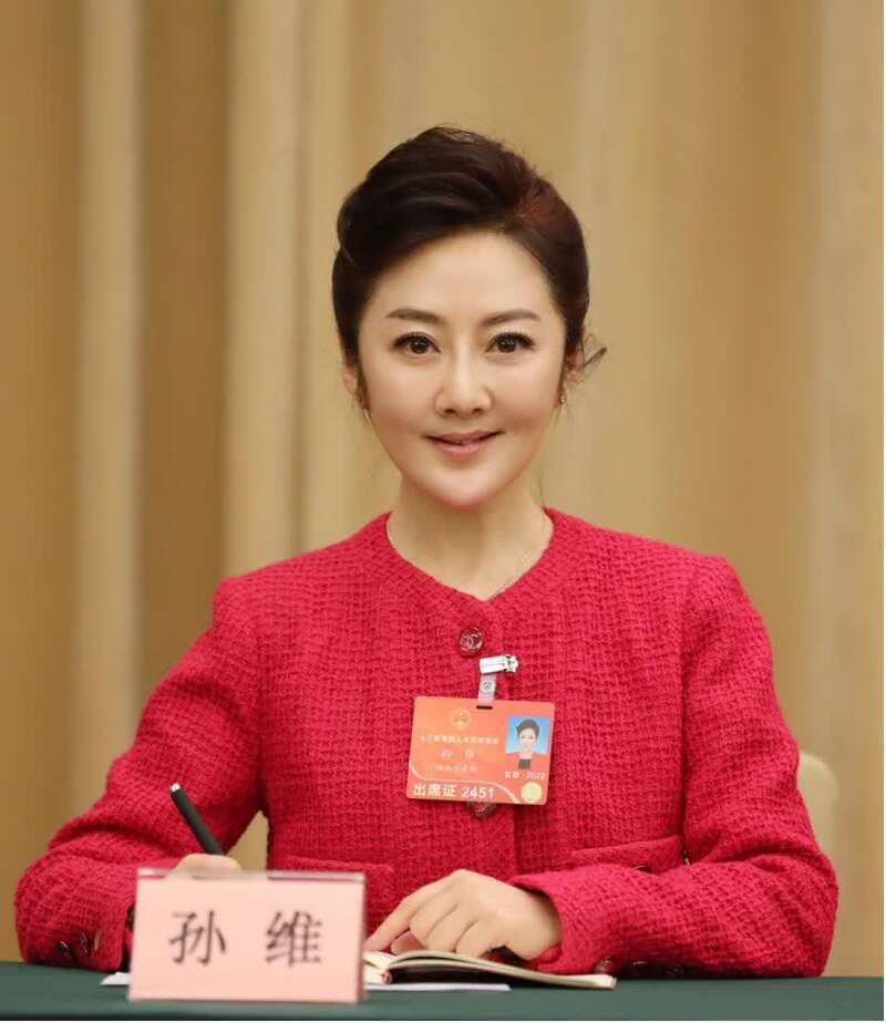 孙维代表:建议设置"省亲月",放假5天错峰归乡探亲_腾讯新闻