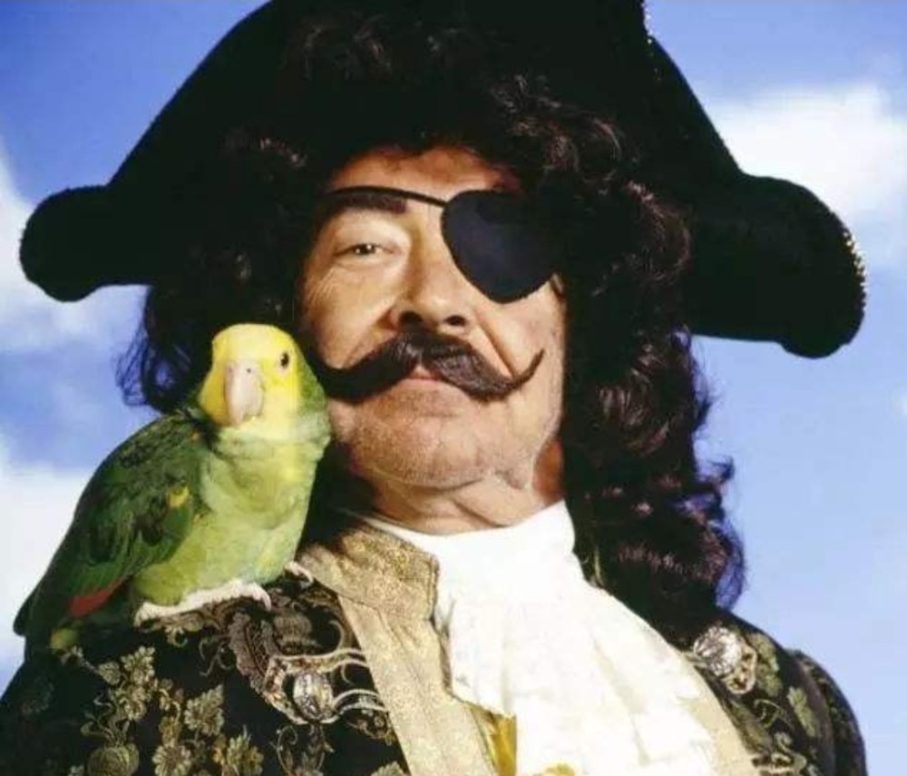 最后再回答一个问题,海盗真的有那么多是独眼吗?