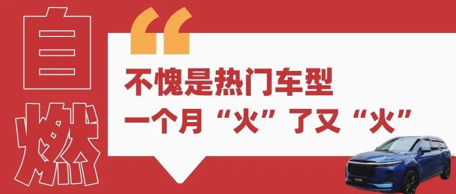 怎么安慰自己的心情理想电燃油没没输a4国内欧蓝德