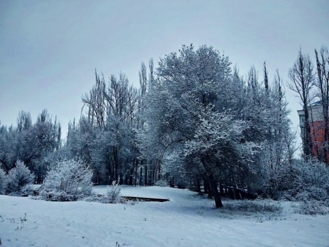 天塔雪景图片