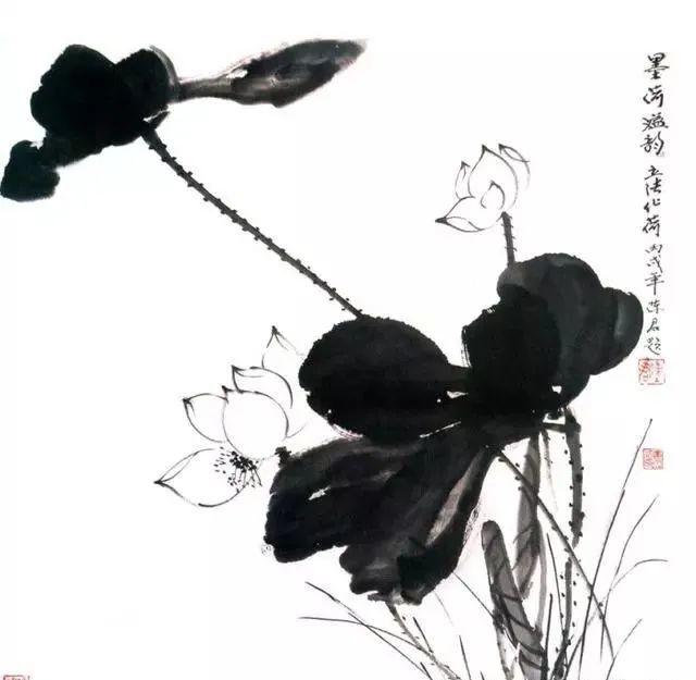 书画联盟丨解析最全的中国画荷花技法