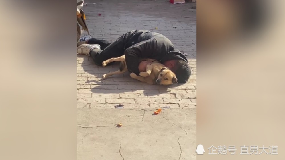 迷惑行为男子抱着狗子就在路边酣睡狗子一脸无奈