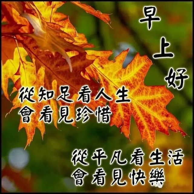 新版微信早上好祝福語圖片,朋友圈特漂亮的早晨好祝福短信