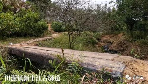 图为连平县田源镇新丰江古道,水路陆路并行,南接粤赣古道北连梅岭古道