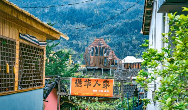 這裡有農家樂,農家民宿,還有咖啡館,輕奢酒店,文藝民宿,以及自駕野奢