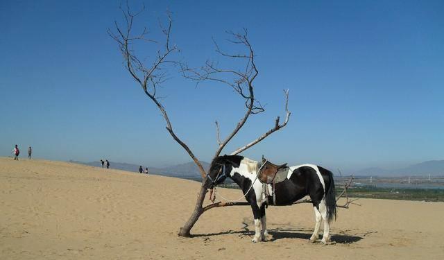 北京最贵的两座豪宅：占地6万平雕梁画栋，已经无法用钱来衡量陕西省长叛国