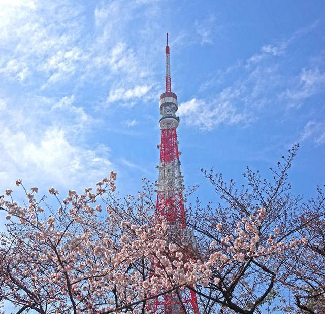 世界上最有钱的城市排行榜：东京排行首位，你知道北京排第几吗？音乐书七年级上册人教版电子