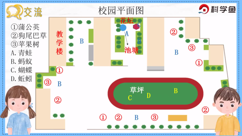 六年级下制作校园生物分布图科学鱼网课