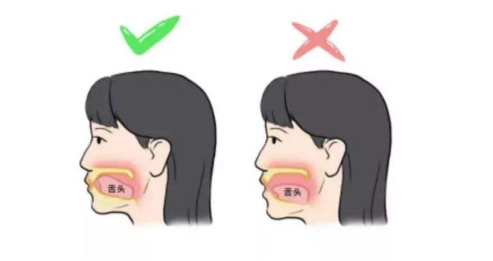 舌抵上颚的正确位置!_腾讯新闻