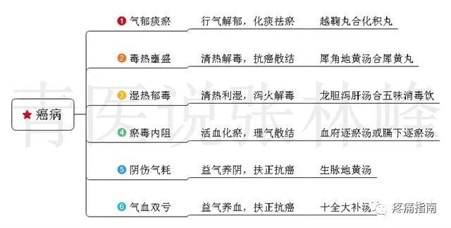 中医常见病症候治法方药