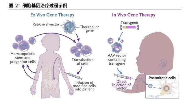 体内基因治疗图片