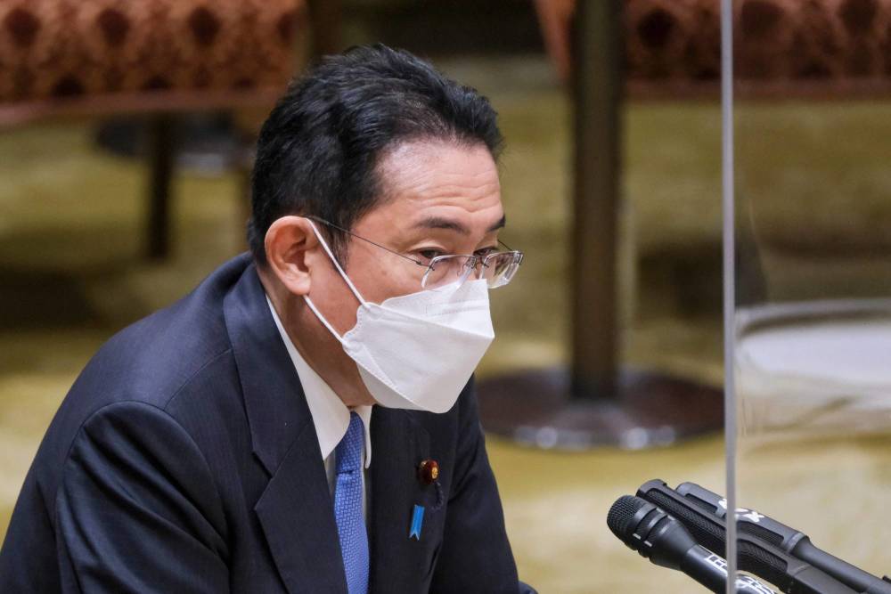 澳大利亚男子冒雨从洪水中救出一只被困的沙袋鼠