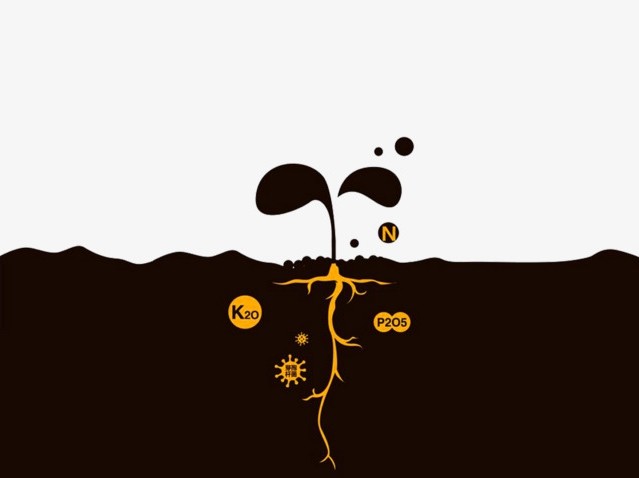 土壤中铵态氮的测定方法