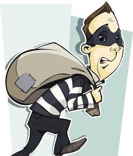 蛛丝马迹觅踪迹 千里追捕擒盗贼