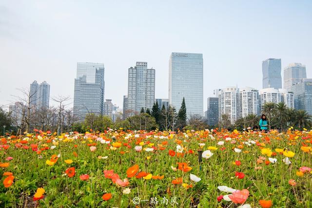 宏城公園位於廣州大橋東側,靠近東部島尖的二沙島藝術公園,從這裡可以