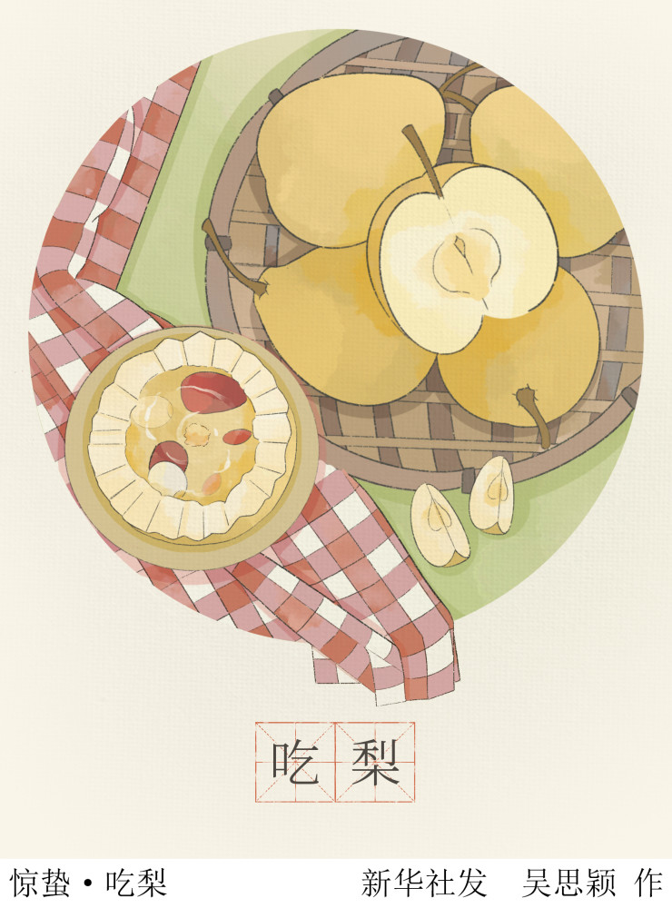 图表插画二十四节气惊蛰惊蛰吃梨