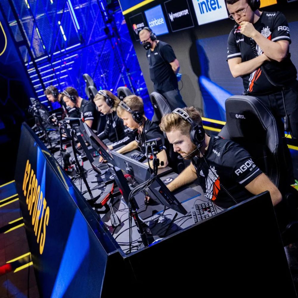 csgo头像第7期niko