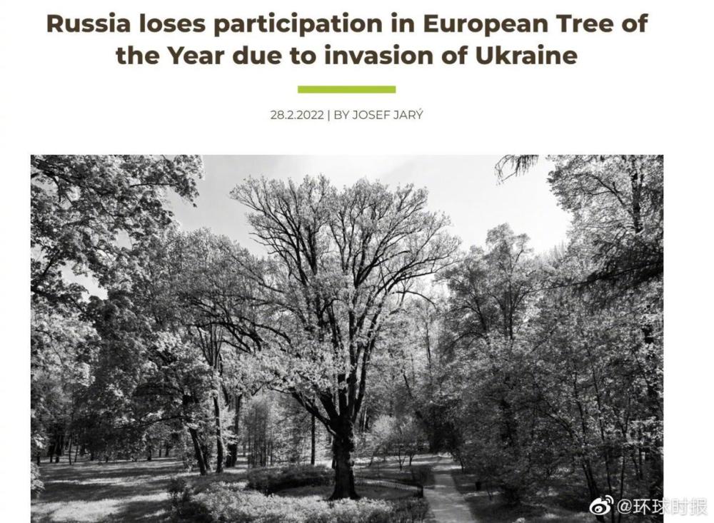 俄乌冲突升级后 俄罗斯的树也被制裁了！