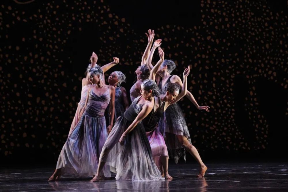 艺苑现场现代芭蕾三部曲