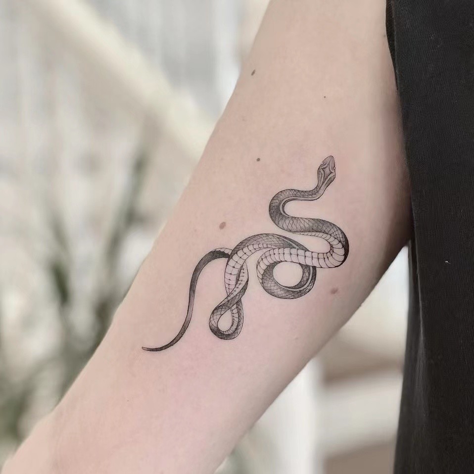 帅到爆炸的纹身图案——蛇插图4