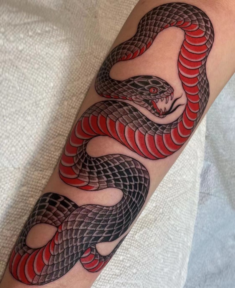 纹身蛇图稿图片
