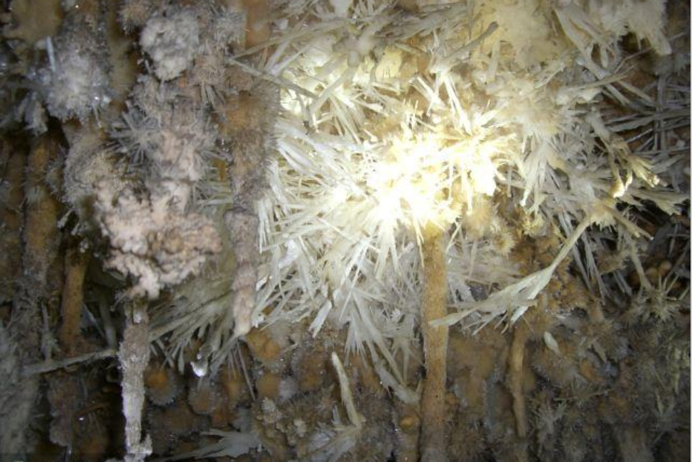 坐落着一个大型的石灰岩洞穴——芙蓉洞,洞体宏大,宽高多在30至50米