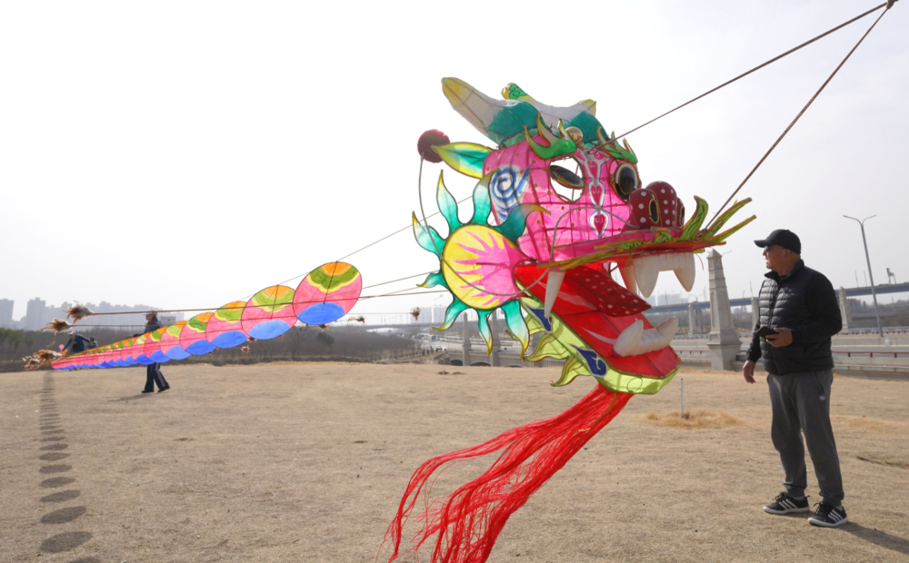 二月二龙抬头风筝飞满天