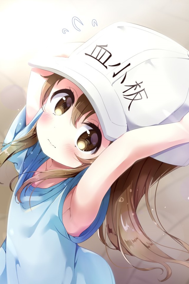 壁纸丨敲可爱的血小板酱