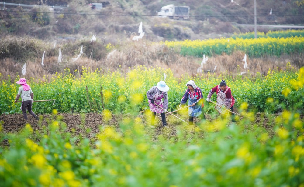 春季的农事活动 腾讯网