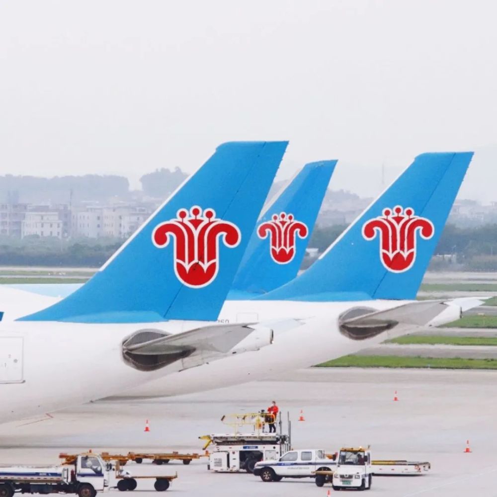 南方航空公司华南理工大学再比如,开在树上云端的木棉花,飘进了广州人