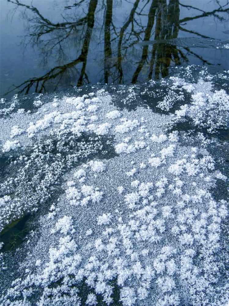 冯凯文:冰魂雪魄_腾讯新闻