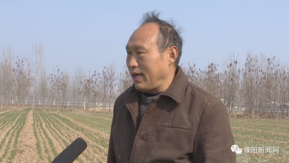 在濮阳县胡状镇晁岗村的麦田里,村民刘进京正在农技专家的指导下,给