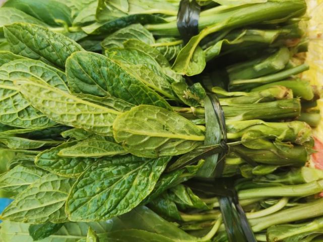 美食春天的味道景东大麻菜来报到