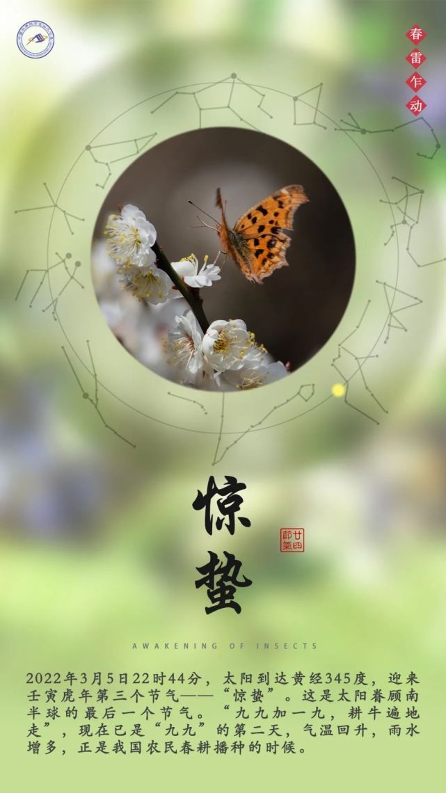 驚蟄丨不負春光|中國天文年曆|節氣|陳向陽|驚蟄