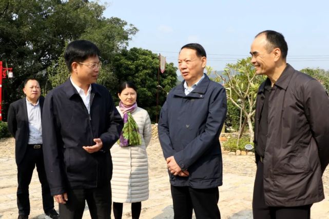 省乡村振兴研究会领导到云霄县开展乡村振兴调研活动|潘征|下河村|坡