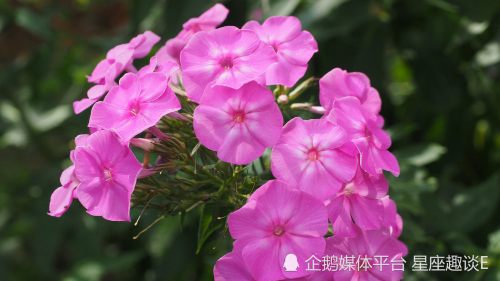 3月5日 11日星座運勢 嚴于律己 蓄勢待發的四大星座 天天看點