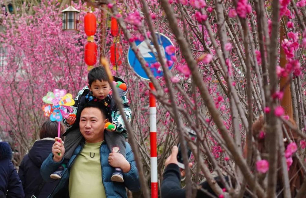 许竣钦/摄阵阵梅香伴随春风拂面而来粉嫩的梅花在市民的欢笑声中尽情