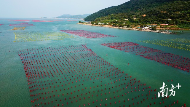 彩练海上舞绿水入画来汕头南澳岛三澳村彩虹海等你来打卡