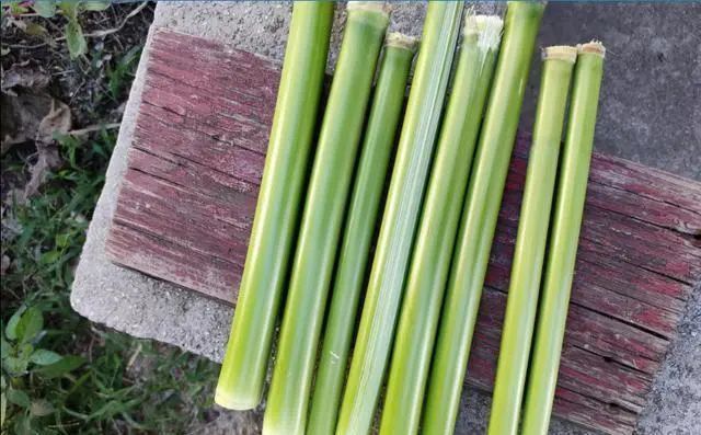 农村80后的童年零食甜杆如今2块1斤没人买老农有点失落