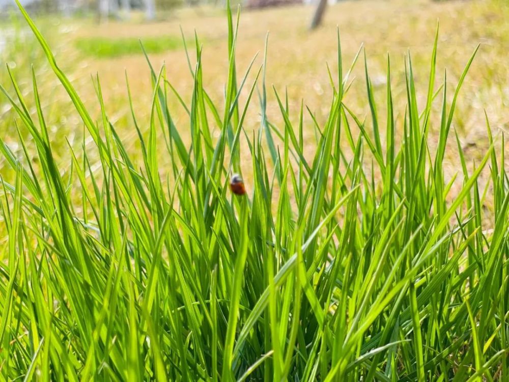 文润泉心古泉二十四节气小课堂之惊蛰惊蛰一声雷万物复苏生