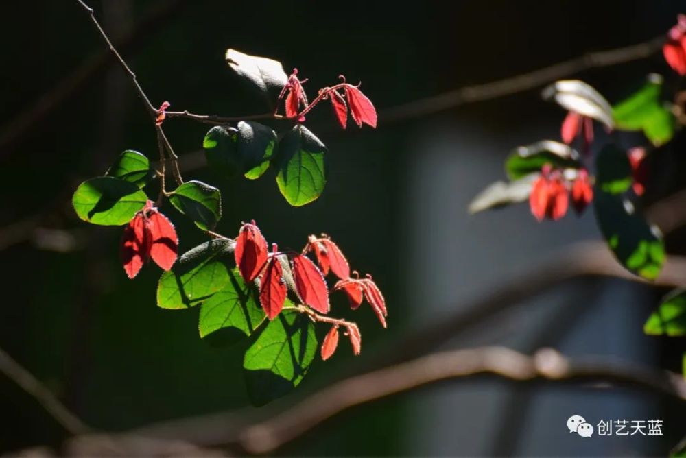 惊蛰 种瓜得瓜种豆得豆 腾讯新闻