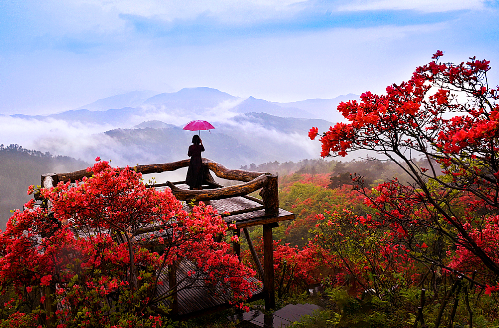 烂漫杜鹃喜迎亚运省运2022环八婺磐安站报名开启