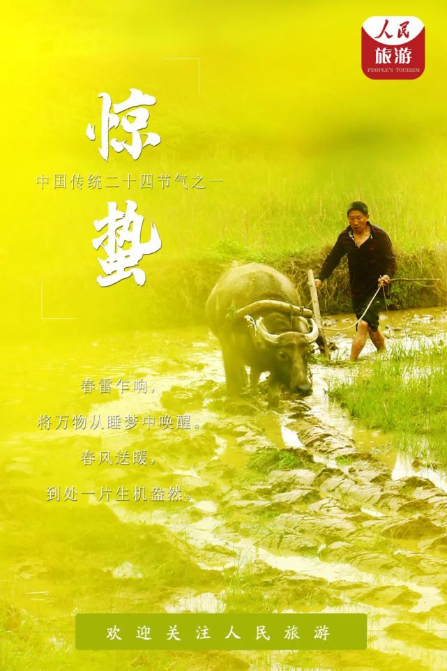 春天如期而至|春雷|春光|惊蛰|白虎